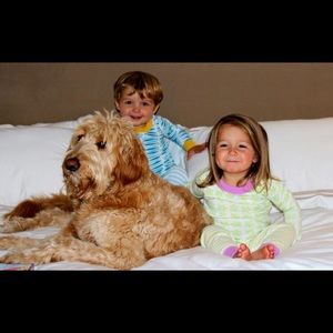 Meet your Posher, Audrey